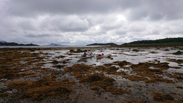 DSC_8228.jpg