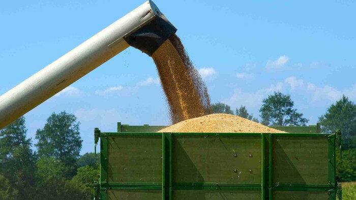 Čiernomorská obilná dohoda 