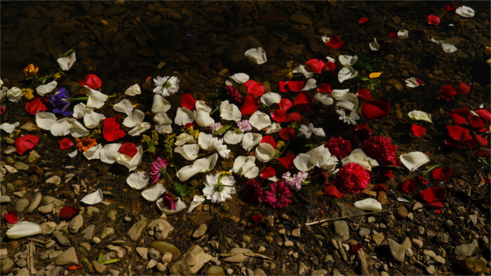 La Journée internationale des rom