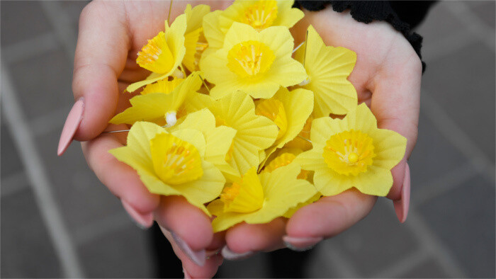 Ayer se celebró el Día de los Narcisos