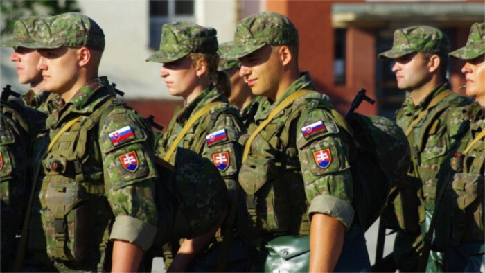 Pas d'entraînement militaire volontaire cette année