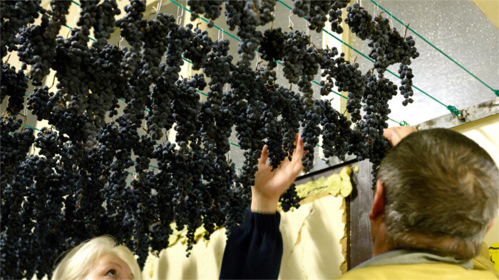 Ventana al mundo - Modra y Overijse