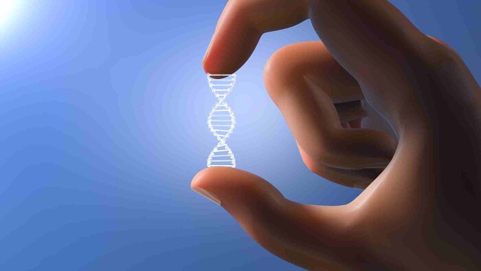 Svoju DNA nechávame všade