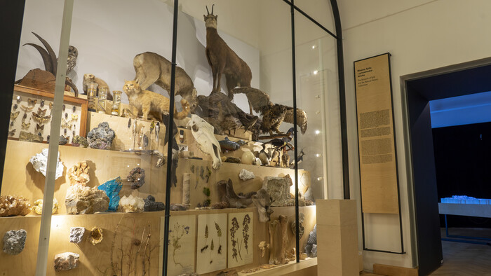 FOTO Muzeum SPisa 4.jpg