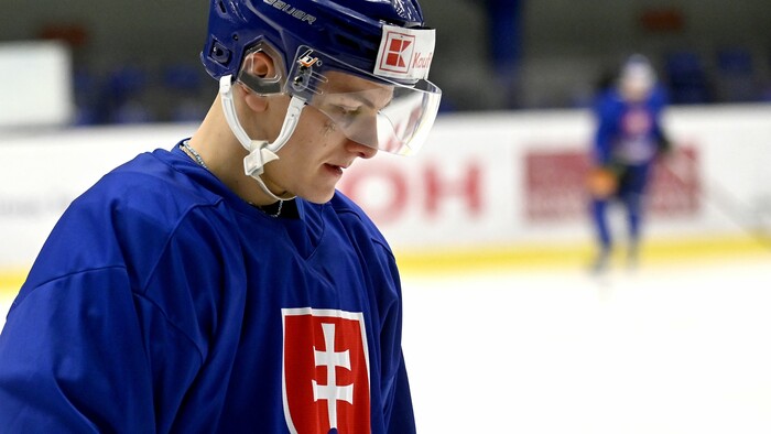 HOKEJ: Sýkora zmaturoval výborne