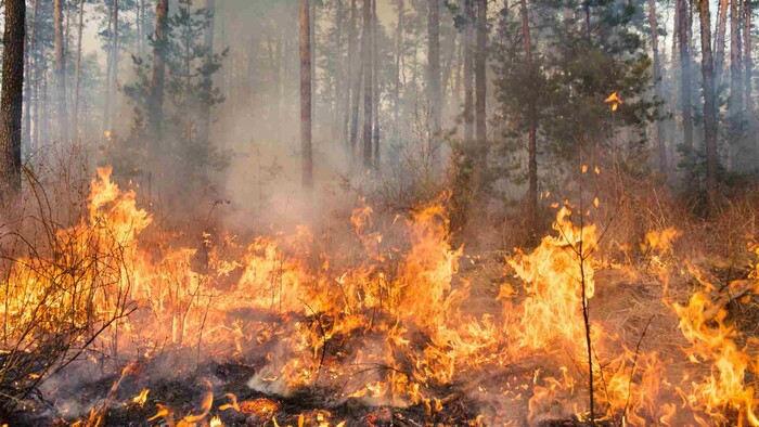 Požiare pravidelne sužujú viaceré krajiny