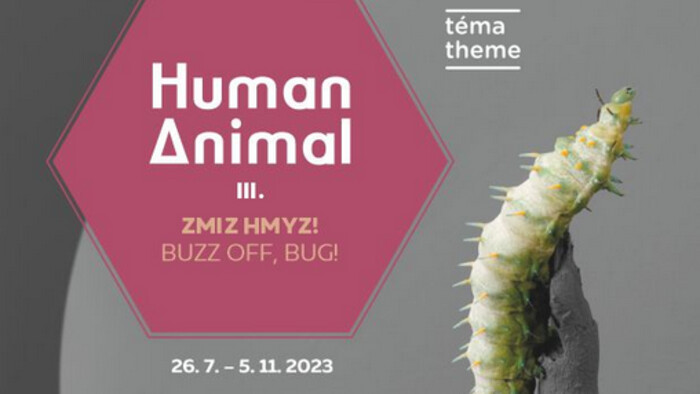 Výstava Humal animal III. – Zmiz hmyz! v Galérii umelcov Spiša