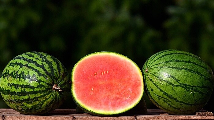 Erste slowakische Wassermelonen werden reif