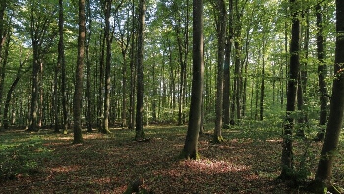 Urbárnici o výkupe súkromných pozemkov v národných parkoch