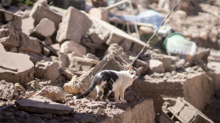 La Presidenta expresó condolencias en relación con el terremoto en Marruecos