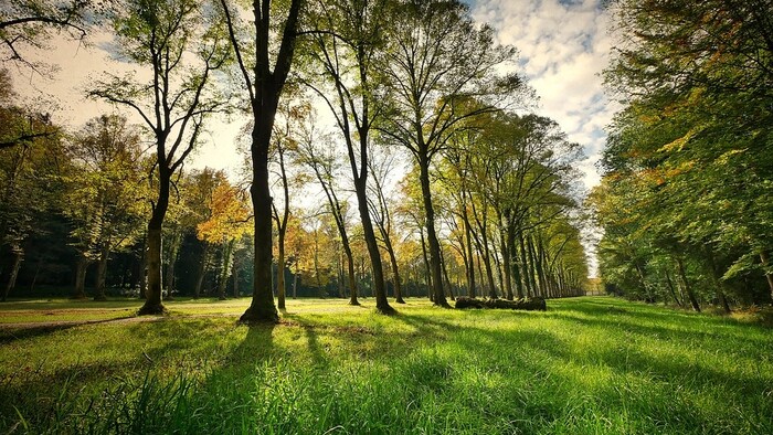 Historický Coburgovský park na Horehroní plánujú obnoviť