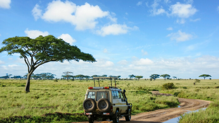 zanzibar safari 11.png