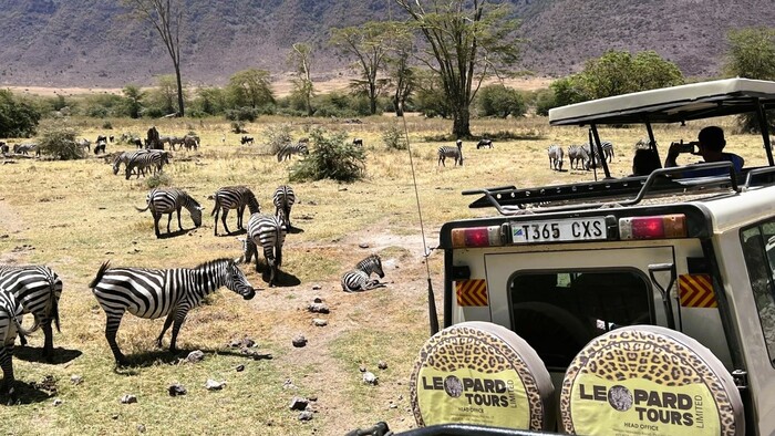 zanzibar safari 14.jpg
