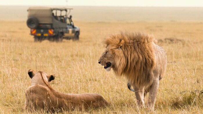 zanzibar safari 5.jpg