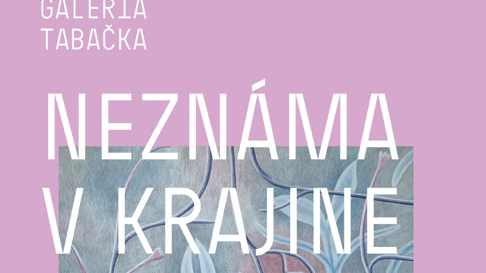 Galéria Tabačka vystavuje tvorbu Alizy Orlan a Dominiky Vyskočilovej