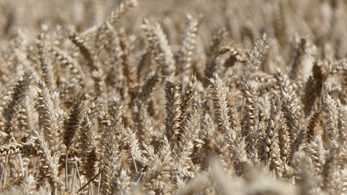 Abgabenerleichterungen für Landwirte verlängert