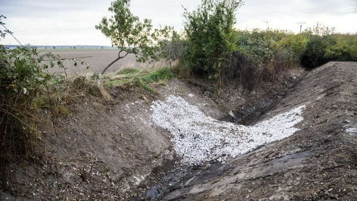 Alte Entwässerungsgräben sollen neuem Zweck dienen