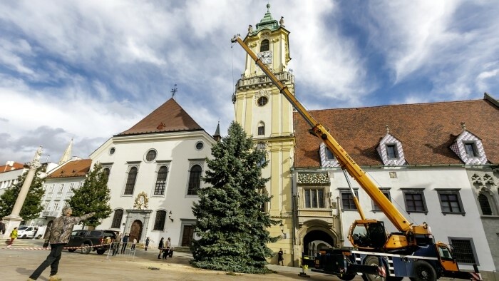 V centre Bratislavy už stojí vianočný strom