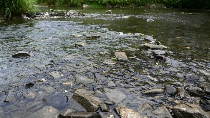 Eslovaquia participará en la restauración de aguas superficiales de los ríos
