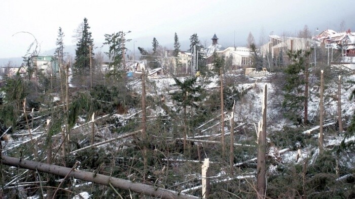 19 ans depuis la catastrophe au Parc national des Hautes Tatras