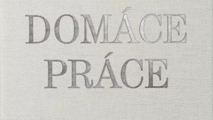 Domáce práce sú druhou knihou poetky Juliany Sokolovej