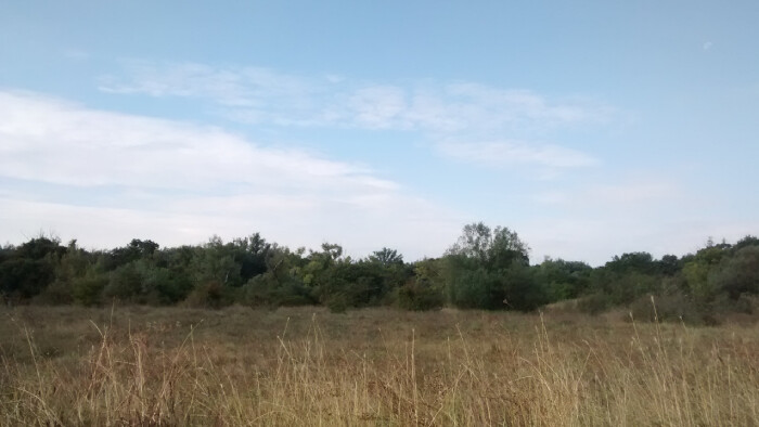 Viete, že Kopáčsky ostrov v Bratislave môžete navštíviť už len pod hrozbou pokuty? 