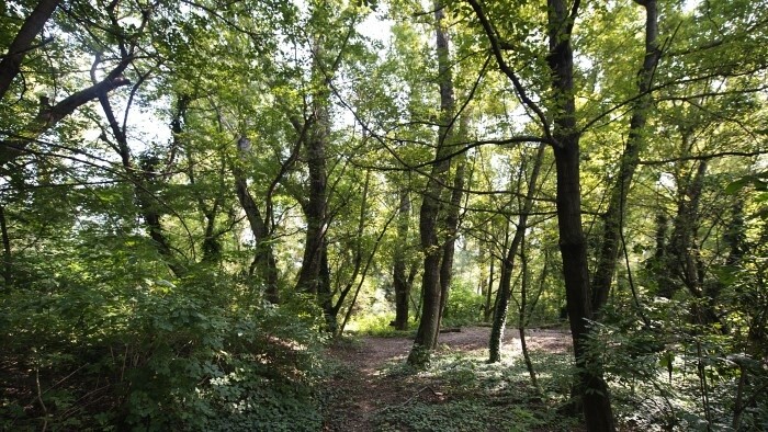 Národný park Podunajsko nebude