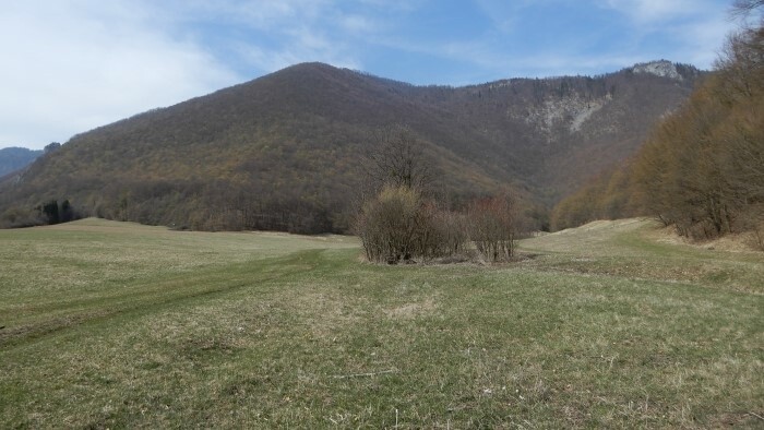 Envirorezort pozastavil výkup pozemkov v národných parkoch