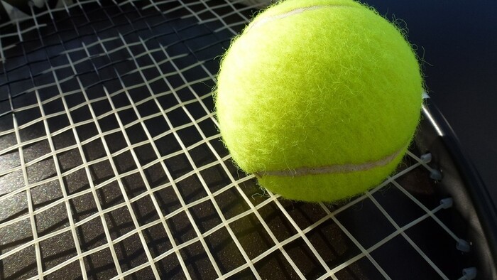 TENIS: Davis Cup v SR nebude