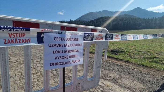 Eslovaquia se unirá a Rumanía para reducir la protección del oso pardo       