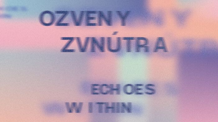 O výstave Ozveny zvnútra vo VSG