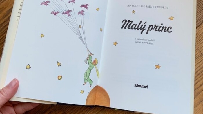 maly princ 3.jpg