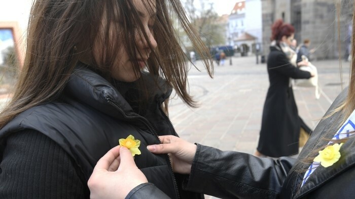 El Día de los Narcisos se celebra el 18 de abril, la posibilidad de contribuir se extiende a una semana