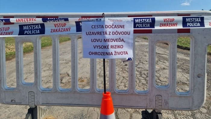 El distrito de Kysucké Nové Mesto ha declarado una situación de emergencia debido a la aparición de osos