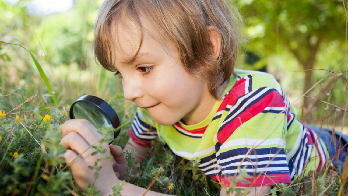 Projekt City Nature Challenge zapája obyvateľov do spoznávania prírody v meste