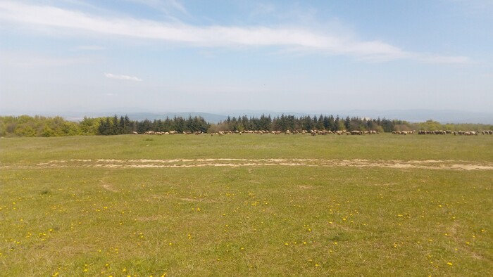 Rádiovíkend 11.05.2024 – pozvánky