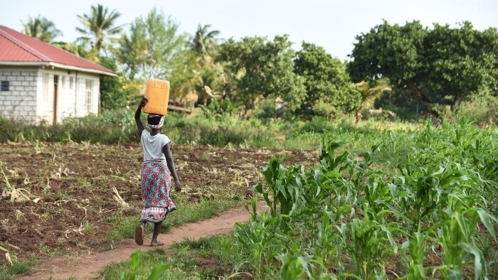 V mnohých afrických krajinách majú ženy slabé práva