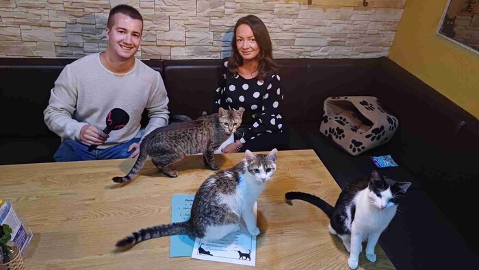 Zvieracie kaviarne alebo reštaurácie u nás i vo svete