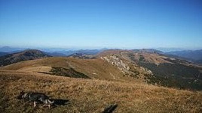El bosque Pralesy pod Suchým vrchom ha sido declarado reserva natural