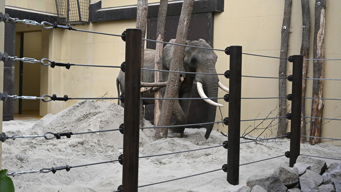 Bojnická ZOO pripravila zaujímavú aktivitu