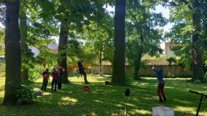 V Seredi sa konali Majstrovstvá Slovenska arboristov
