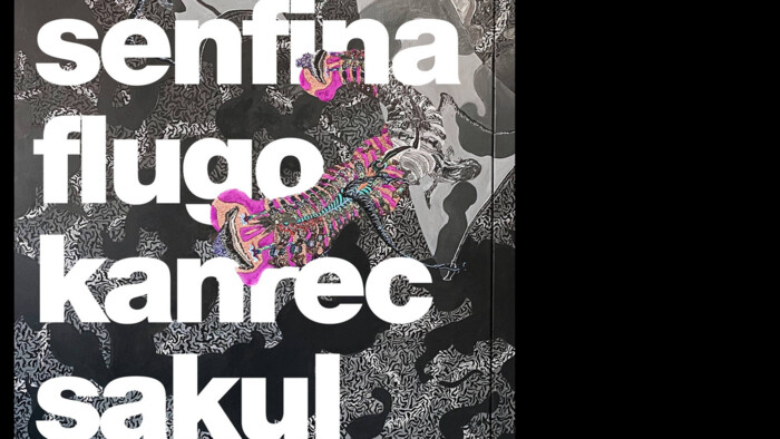 Výstava Kanreca Sakula v košickej VUNU Gallery 