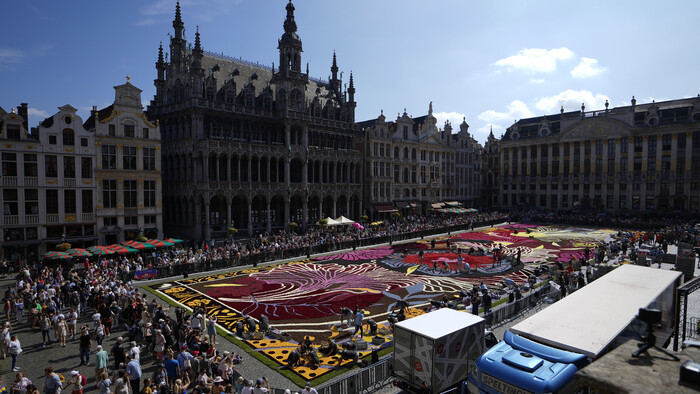 Belgium_Flower_Carpet635621065925.jpg