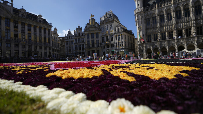 Belgium_Flower_Carpet635622065924.jpg