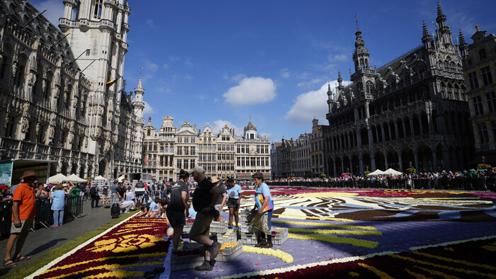 Belgium_Flower_Carpet635624065922.jpg
