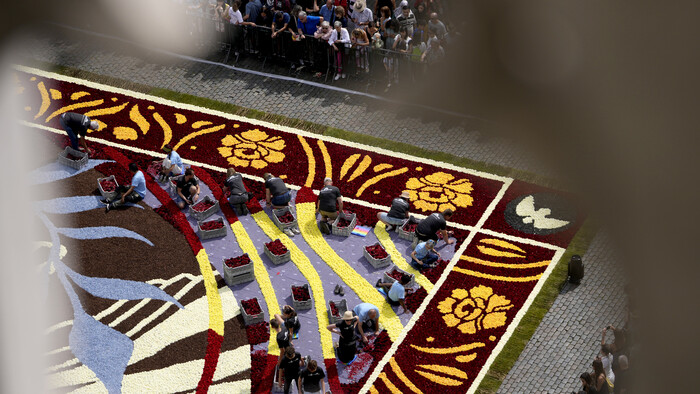Belgium_Flower_Carpet635677065921.jpg