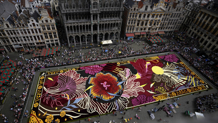Belgium_Flower_Carpet635679065920.jpg