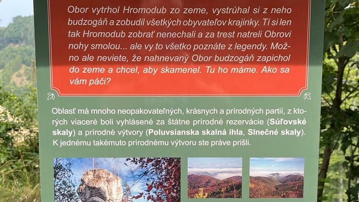 Obrázok WhatsApp 2024-08-19 o 21.47.38_93d07a7f.jpg