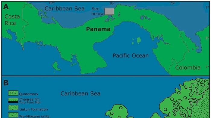 Panamá está interesada en profundizar la cooperación con Eslovaquia