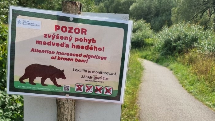Muža na Liptove usmrtil medveď 